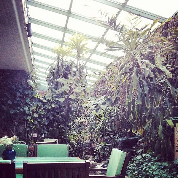 Papaya restaurant in Jeddah KSARestaurant discover new restaurants