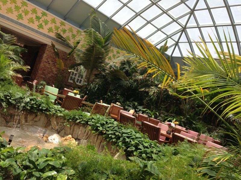 Papaya restaurant in Jeddah KSARestaurant discover new restaurants