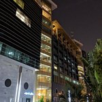 Agave in Jeddah